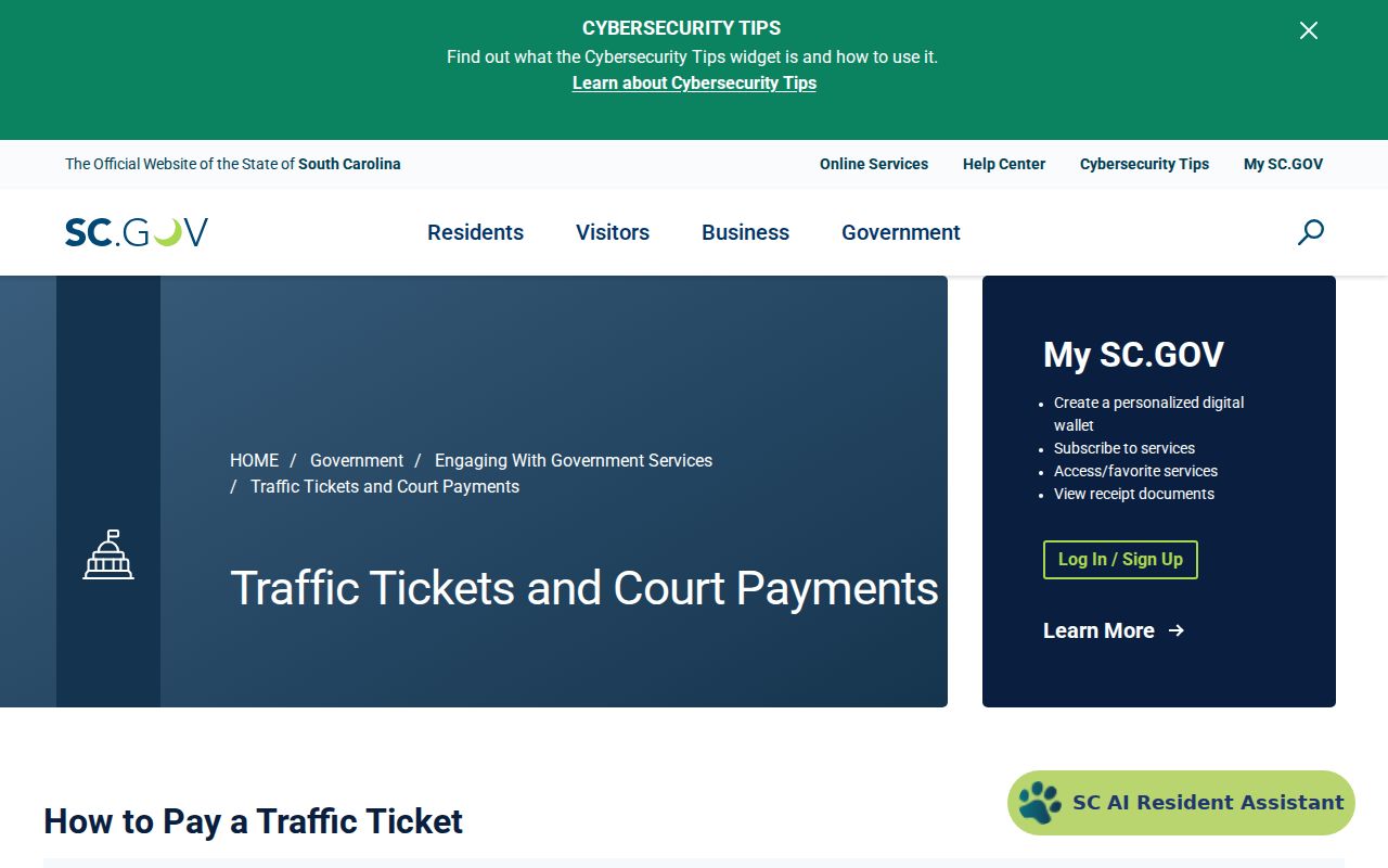 Georgetown County traffic warrant citation and court payment gateway